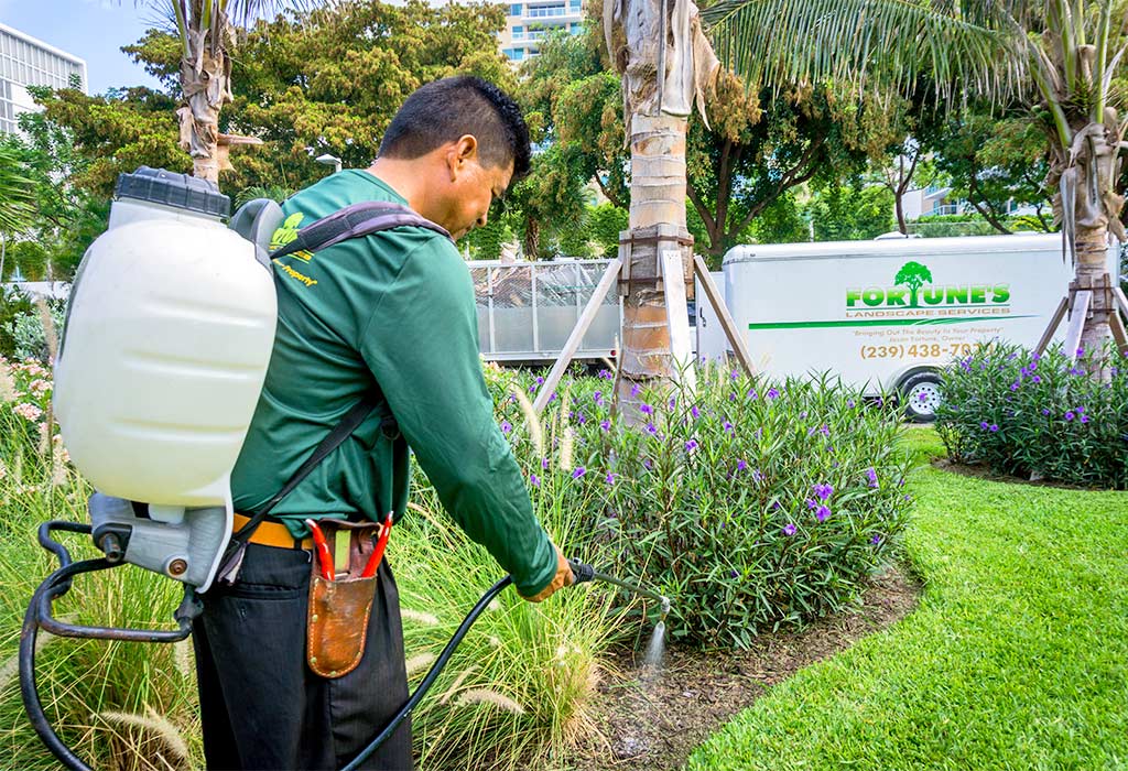 Greenscape Licensed Fertilization Professionals | Fortune's Lawn, Land & Tree Service