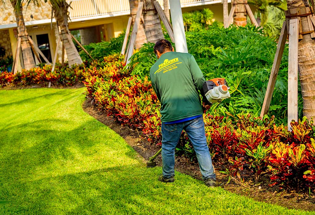 Mowing & Edging To Maintain A Healthy Yard | Fortune's Lawn, Land & Tree Service on Marco Island, FL