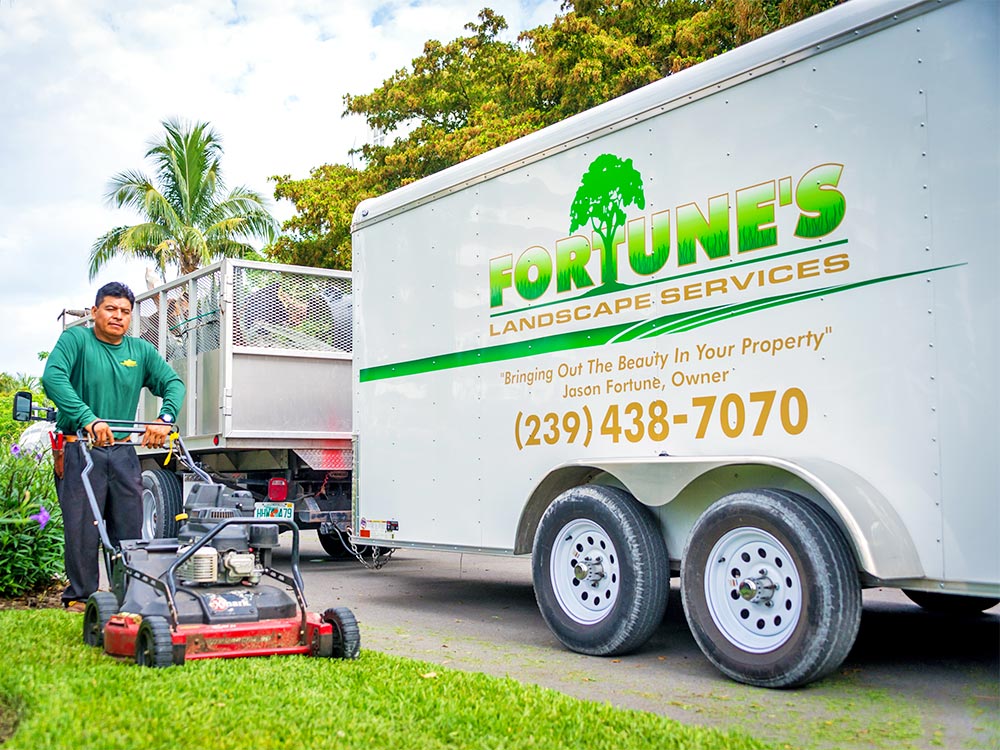 Lawn care deals service company